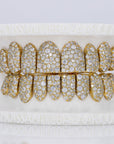 Mosaic/Snow VVS Moissanite Diamond Grillz - Moissanite Bazaar - moissanitebazaar.com