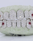 Jumbo Ruby Fang Pointer VVS Moissanite Diamond Grillz