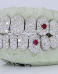 Jumbo Ruby Fang Pointer VVS Moissanite Diamond Grillz