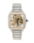 CS Skeleton Two-Tone 41MM VVS Moissanite Diamond Watch 20CT - Moissanite Bazaar - moissanitebazaar.com