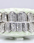 Invisible Set Princess Cut Diamond Grillz - Natural SII Quality - Moissanite Bazaar - moissanitebazaar.com